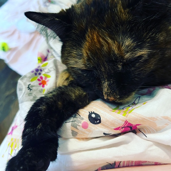 Meet your Posher, Jess - Picture 2 of 2